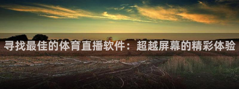 寻找最佳的体育直播软件：超越屏幕的精彩体验